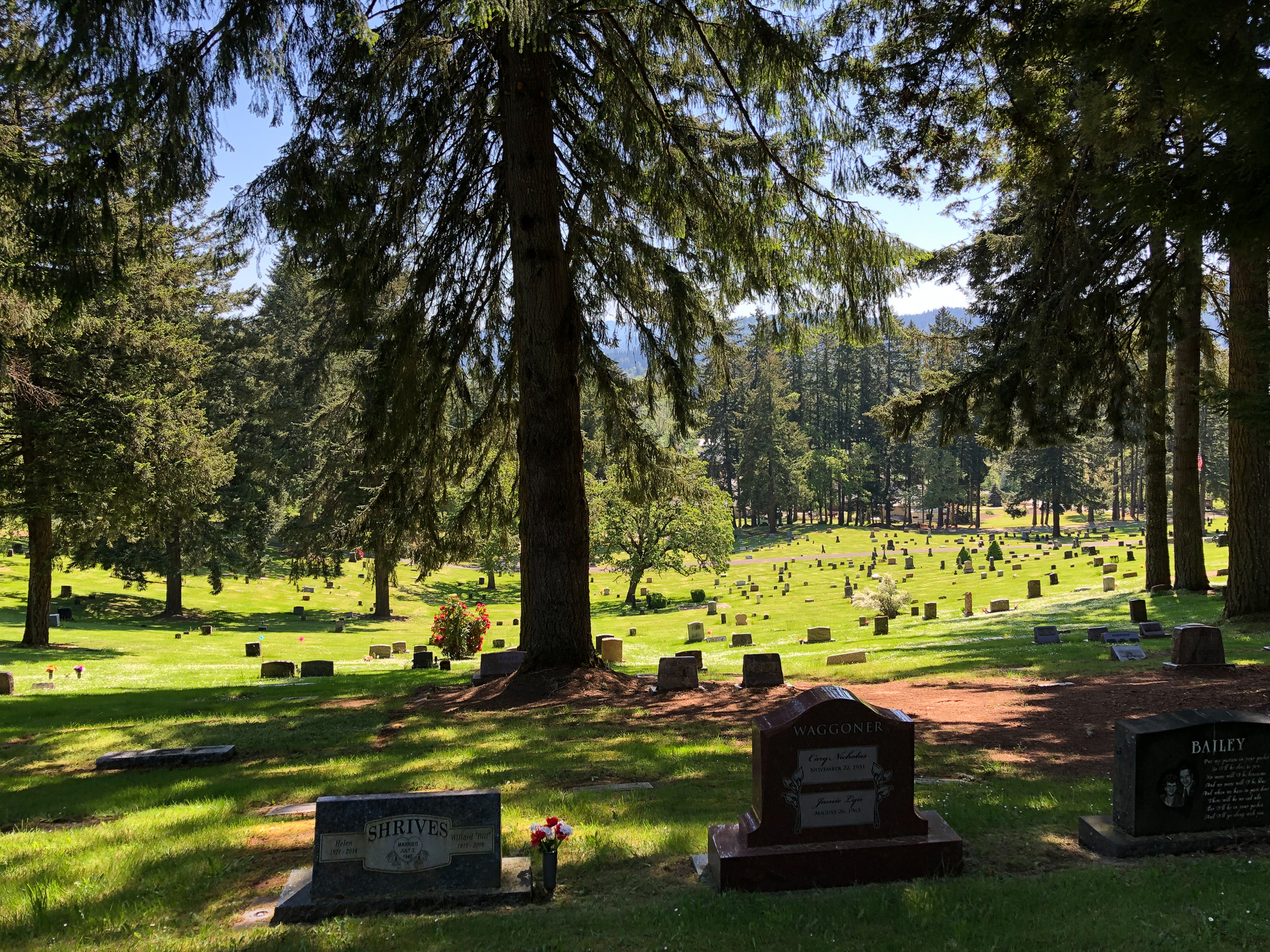 150 Years of History Fir Grove Cemetery